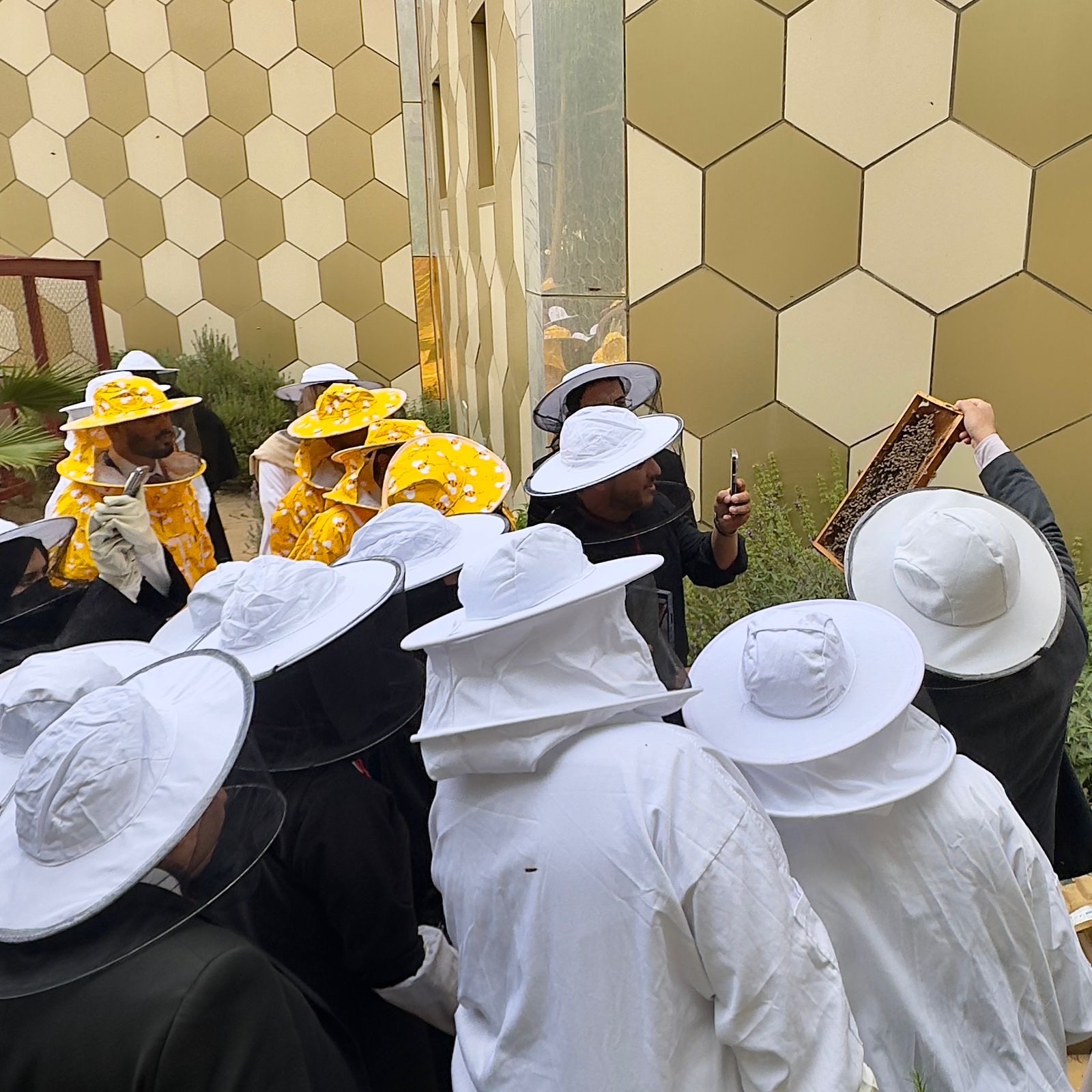 تدريب ميداني على فحص طوائف النحل بالمنحل النموذجي
